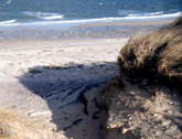 Ocean edge image