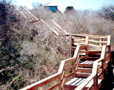 Wooden Staircase to Beach
