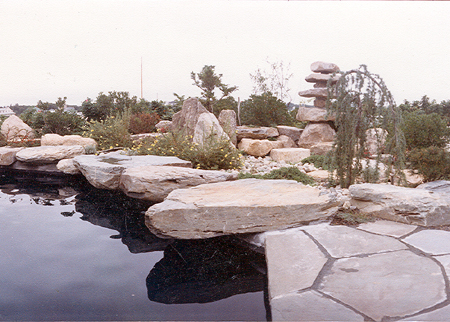 Natural pool
